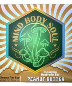 Mind Body Soul Mushroom